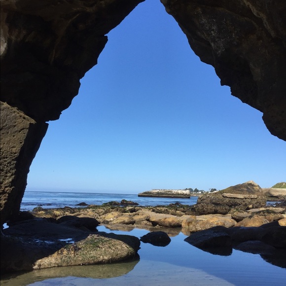 Meet your Posher, Annie - Picture 6 of 6